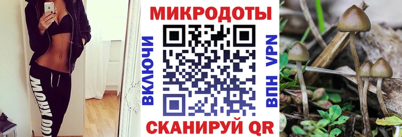 Псилоцибиновые грибы MAGIC MUSHROOMS  купить наркоту  Приморско-Ахтарск 